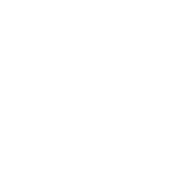 barnizado