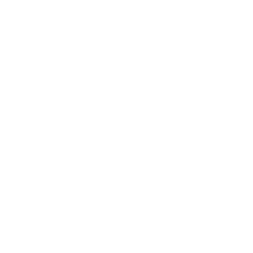 icono-expertos